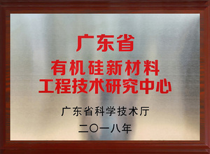 廣東省有機硅新材料工程技術研究中心